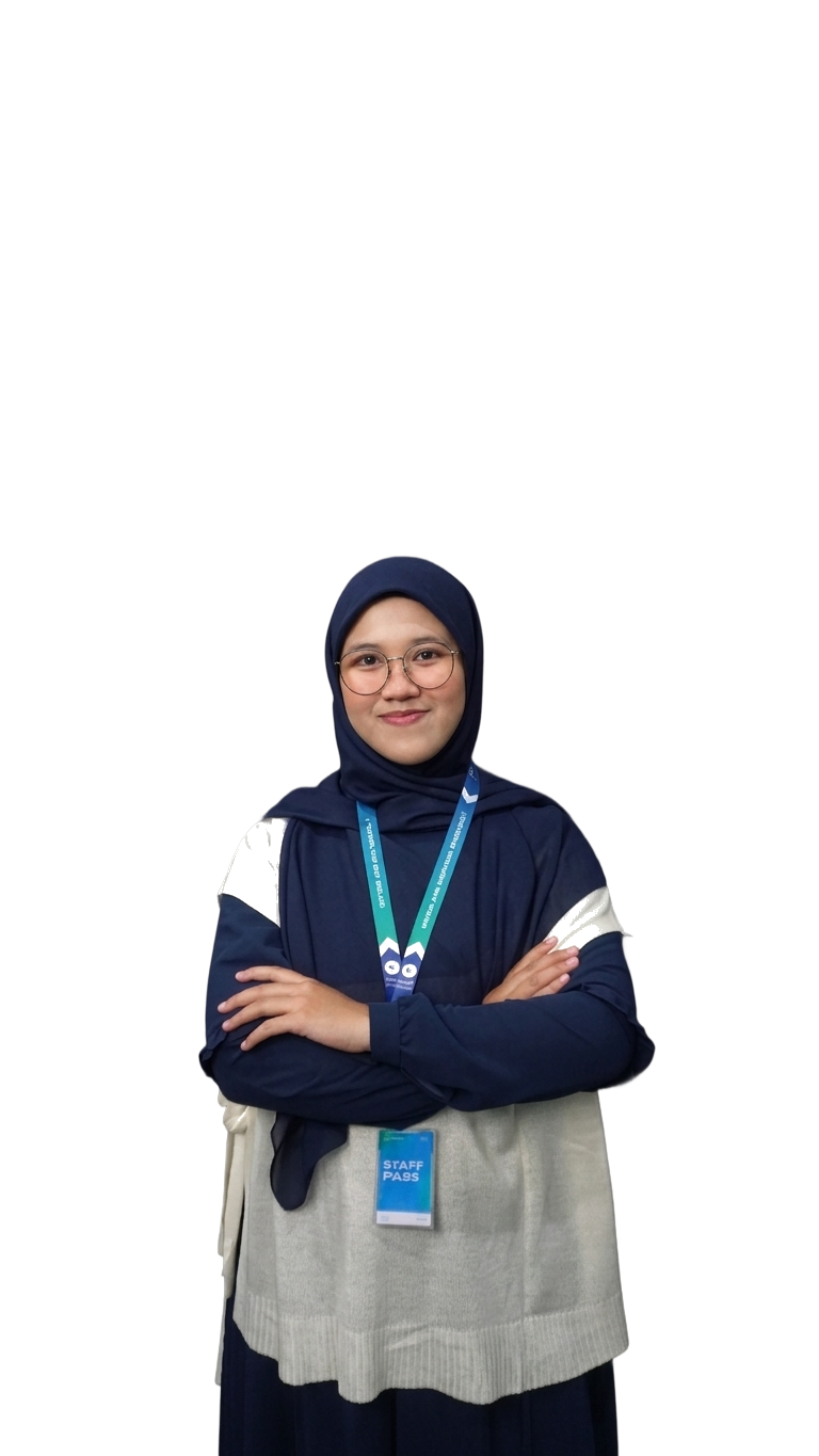 Project Manager IT